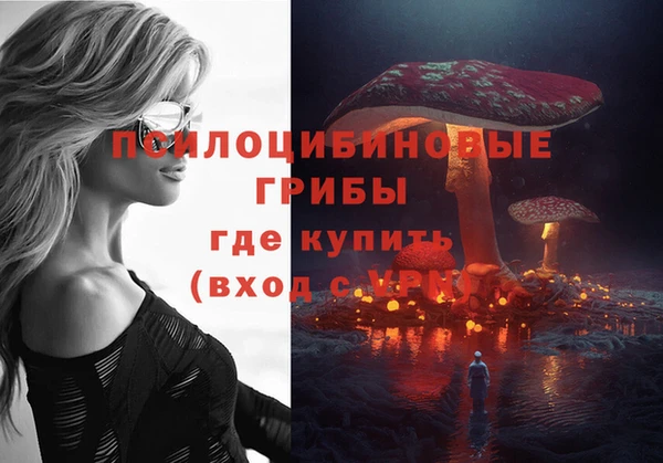 спайс Алексин