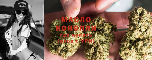 прущие грибы Алзамай