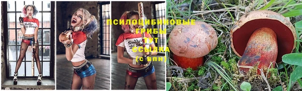 спайс Алексин