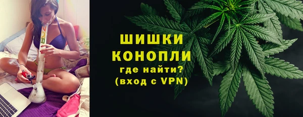 спайс Алексин